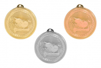 FINE ARTS: ORCHESTRA Medallion