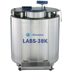 LABS 38K, CS200 Controller Gas Bypass