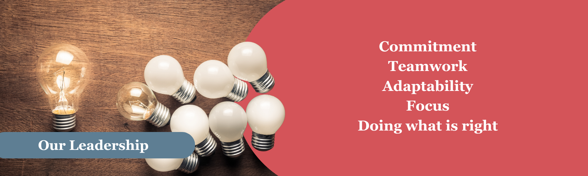 A cluster of white light bulbs with one clear bulb. To the left a larger clear bulb is lit. A blue banner near the bottom of the photo with the words “Our Leadership.” To the right on a red background, the words “Commitment, Teamwork, Adaptability, Focus, Doing what is right.