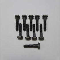 1/4-20 x 1 1/4 Scr Hx Bag/10