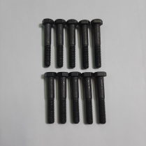 5/16-18 x 2 Scr Hx Bag/10