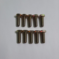 5/16-24 x 1 Scr Hx Bag/10