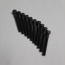 #10-24 x 1 1/2 Scr Soc Bag/10