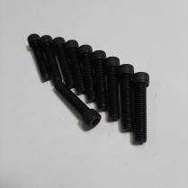 1/4-28 x1 1/4 Scr SHC Bag/10