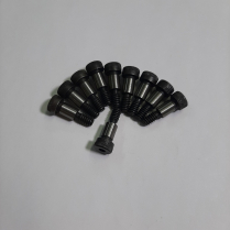1/4 x 3/8 Screw Shld Bag/10
