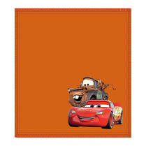 KR CARS CLEANING SHAMMY