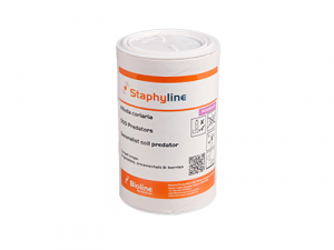 Staphyline (Atheta Coriaria) PFP020504-003 500/tube