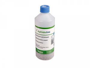 Aphidoline (Aphidol aphidi) PFP020503-001 1,000 pupae/125 ml