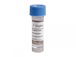 Digline (Diglyphus Isaea) PFP020407-001 250/30 ml vial