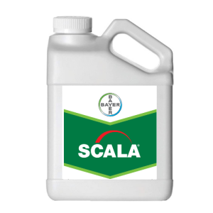 Scala - 6.07 L