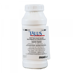 Talus - 500 g