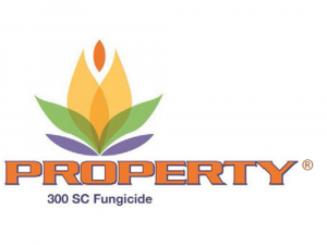 Property 300SC - 2 L