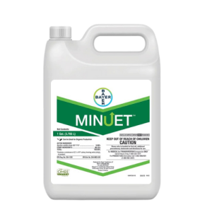 Minuet - 3.78 L