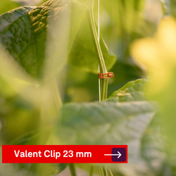 Valent Clip 23mm