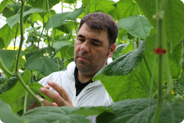 Bio royal brinkman canada