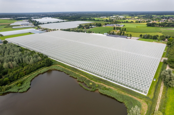 Greenhouse in the Netherlands