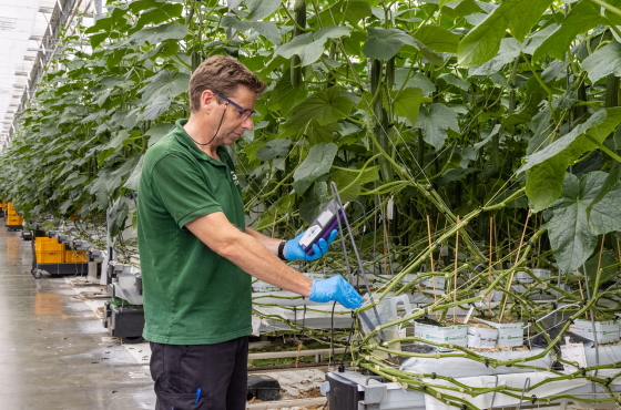 Maurice ruhl in greenhouse