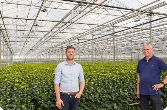 nurseries sensation and the waal