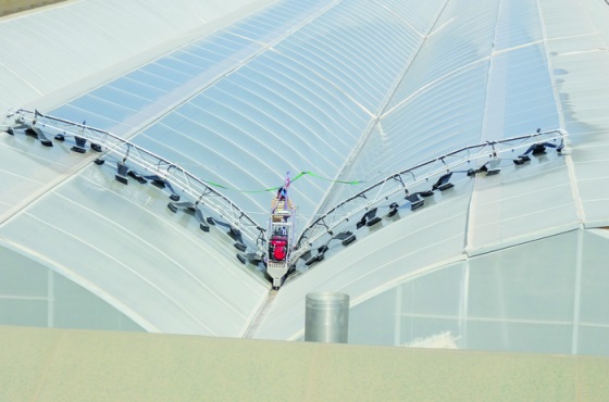 top cleaner on a big greenhouse