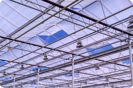 Greenhouse shading paint