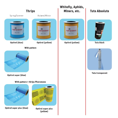 different sticky traps