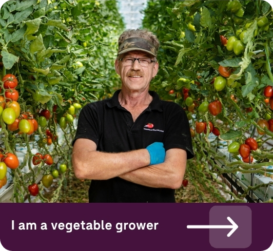 Vegetable grower hortihygienz