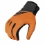 250 GLOVE
