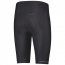 ENDURANCE +++ SHORTS