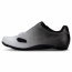 TEAM BOA LADY ROAD SHOE