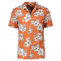 BUTTON LT SS SHIRT
