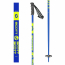 RIOT POLE 