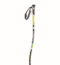 WC GS CARBON BLK STRIKE/DH CONE POLE