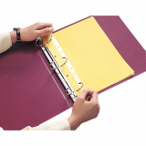 Record Guard® Hole Punch Reinforcements, Side Hole