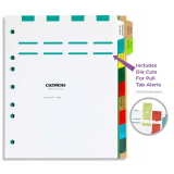 Carstens® Long Term Care Divider Set, Side Opening, 11 Tab