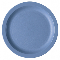 9CWNR Plate 9" slate blue