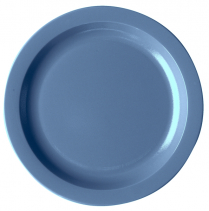 10CWNR Plate 10" slate blue