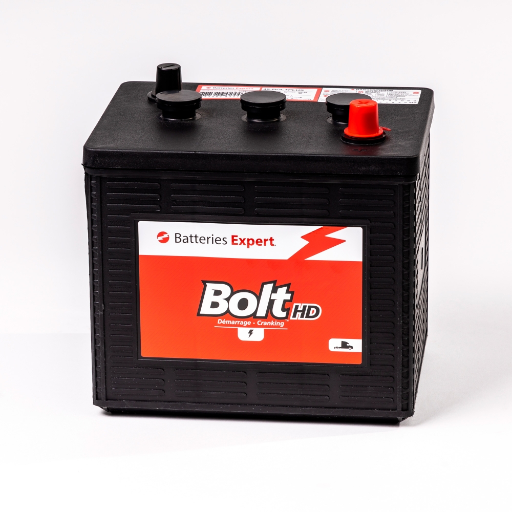1-BOLTHD Batterie de démarrage (Wet) 6V Groupe 1 Batteries Expert