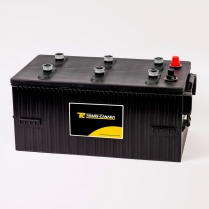8D-TCHD-1100C   Cranking Battery (Wet) Group 8D 12V