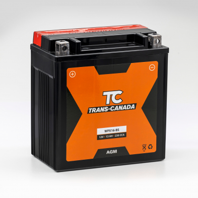 Yuasa YTX16-BS - Yuasa YTX16-BS 12V 14Ah YTX16-BS-1 - Batterie Moto AGM -  Moto - Start Batterie Shop