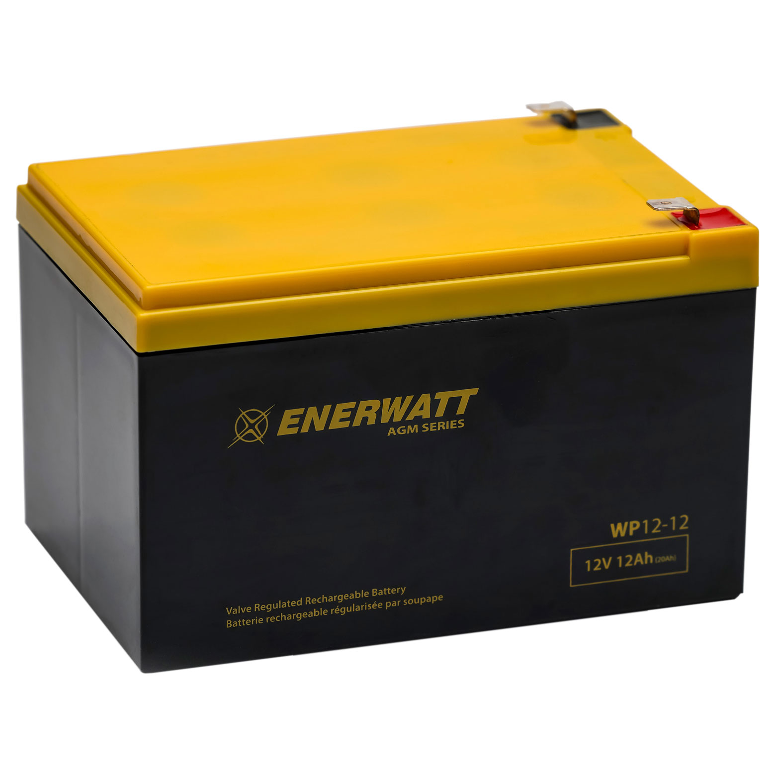 WP12-12 BATTERIE AGM 12V 12A SCELLEE