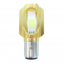 EWBP-48VTR-LB ampoule DEL de remplacement de phare avant pour  triporteur 48V