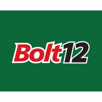 AFF-BOLTDC-LOGO-36   POSTER BOLT DC LOGO 34,25X24