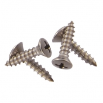 Parking Light Lens Door Screws - 1950 Ford Car