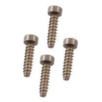 Parking Light Lens Door Screws - 1951 Ford Car