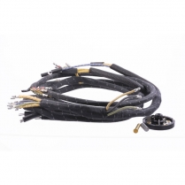 Headlight Horn Wiring - 1938 Ford Car  