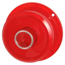 Taillight Lens Non -Script - 1955 Ford Car