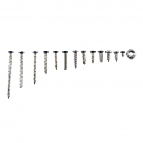 Interior Trim Screw Kit - Stainless - Crown Victoria - 1955 Ford Car  