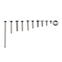 Interior Trim Screw Kit - Stainless - 2 Door Sedan - 1955 Ford Car  