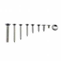 Interior Trim Screw Kit - Stainless - Victoria - 1953 Ford Car  