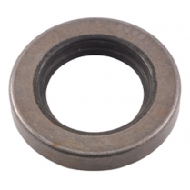 Rear Axle Seal - 1973-79 Ford Truck    